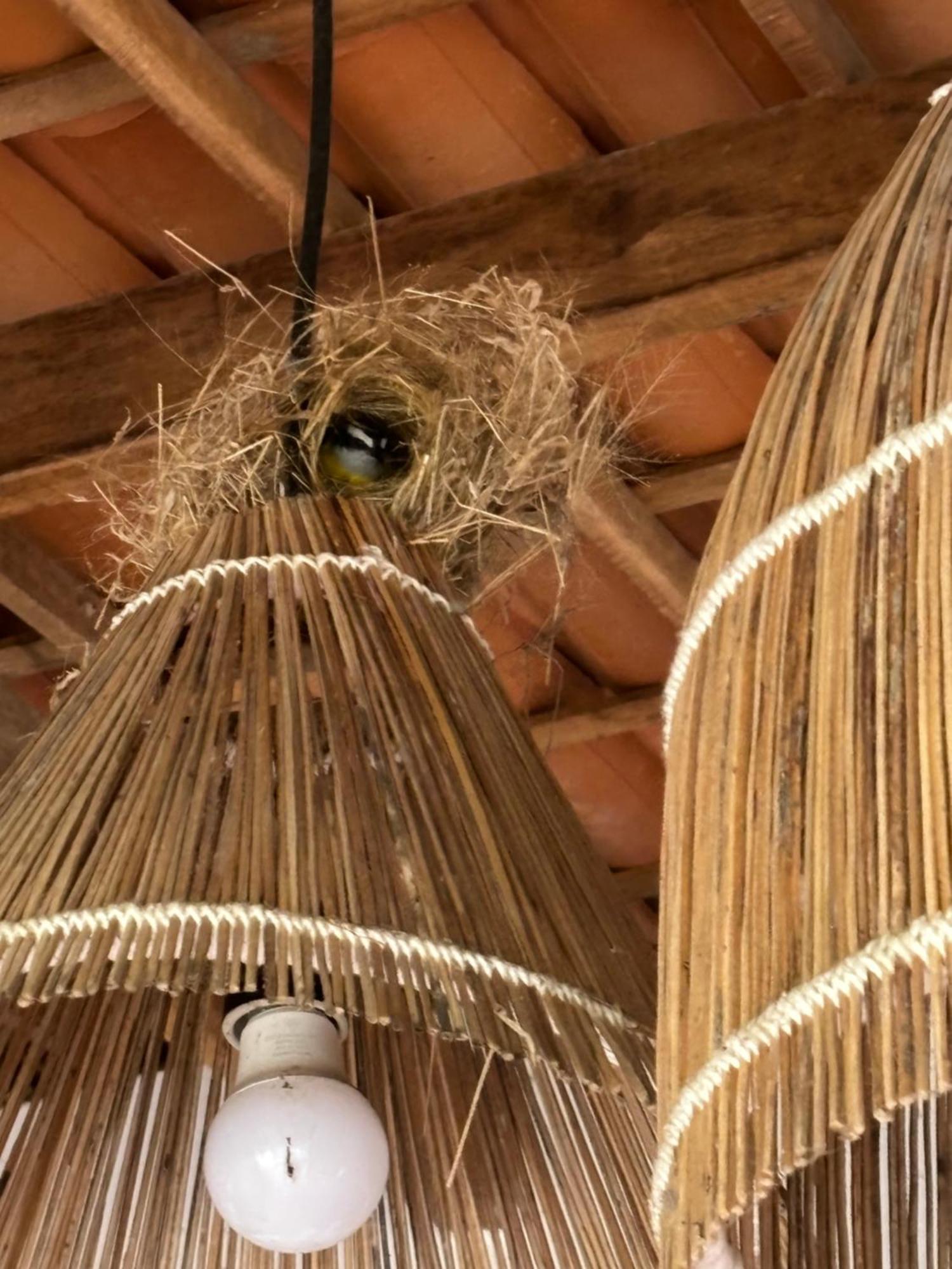 Casa Da Lagoa Jijoca de Jericoacoara Exteriér fotografie